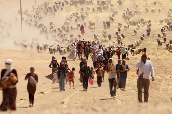 8-11-2014: Exodus: Persecuted Yazidis Flee Islamic State http://nbcnews.to/1q5sTER  (photo:@reuterspictures) 