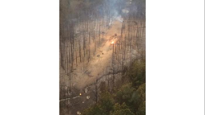 Taken from Skycopter by Jessica Golden, this image shows a torched forest following the explosion of a natural gas pipeline. (Jessica Golden/MSNewsNow.com)